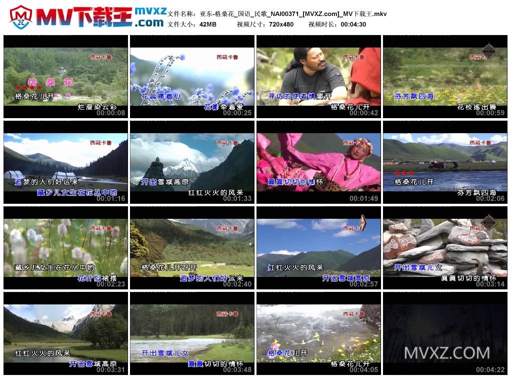 亚东-格桑花_国语_民歌_NAI00371